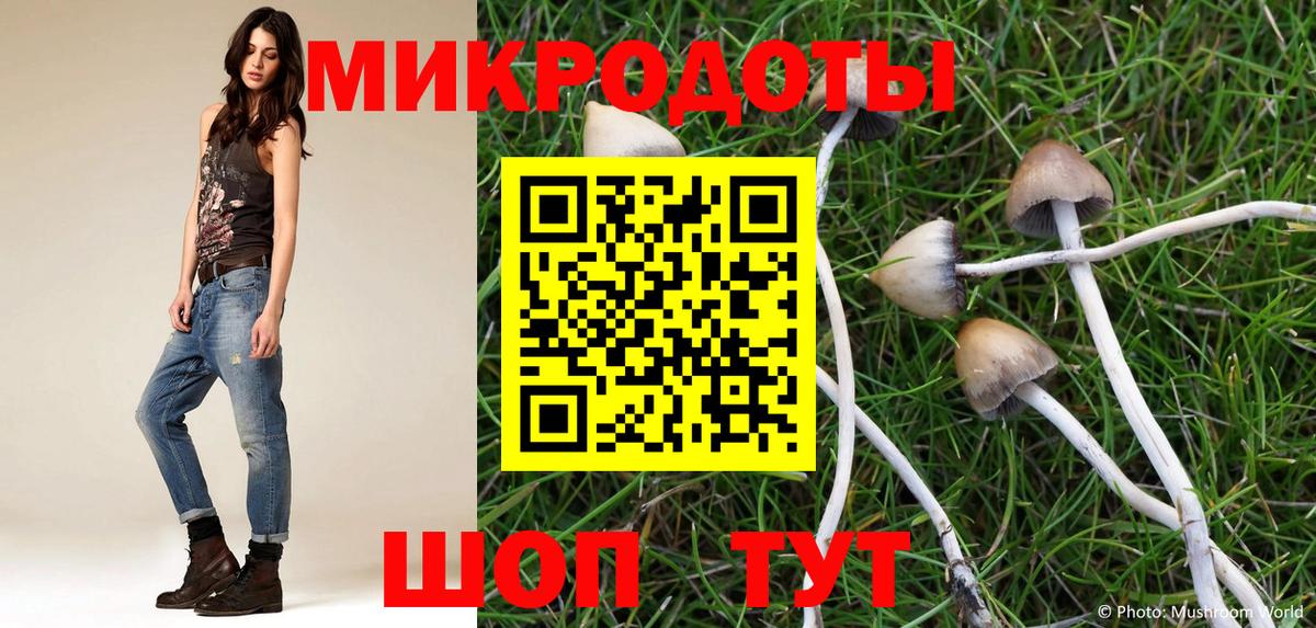 где продают   Галлюциногенные грибы GOLDEN TEACHER  Вход с VPN  Кудымкар 